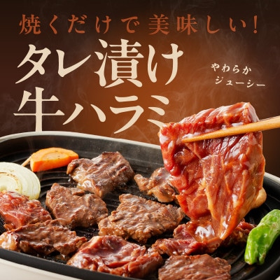 【冷蔵配送】牛ハラミ肉 焼肉用 味付け 1.2kg 小分け 300g×4P G1803