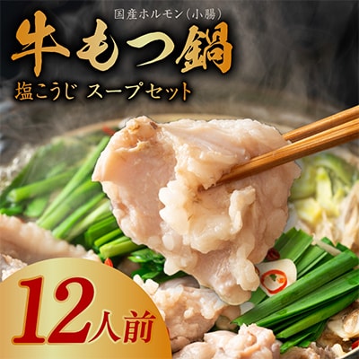 国産牛 もつ鍋 約12人前 ホルモン 特製スープセット 099H3151