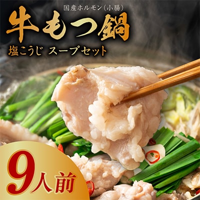 国産牛 もつ鍋 約9人前 ホルモン 特製スープセット 010B1525