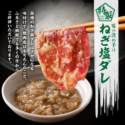 ねぎ塩 牛たん 1.5kg 小分け 約250g×6P 成型 訳あり 010B1531
