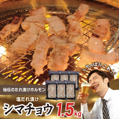 【焼肉屋の定番】シマチョウ 塩だれ漬け 1.5kg 小分け 250g×6 焼肉用 G1765