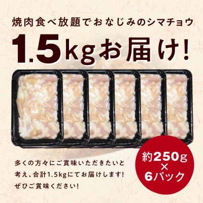 【焼肉屋の定番】シマチョウ 塩だれ漬け 1.5kg 小分け 250g×6 焼肉用 G1765