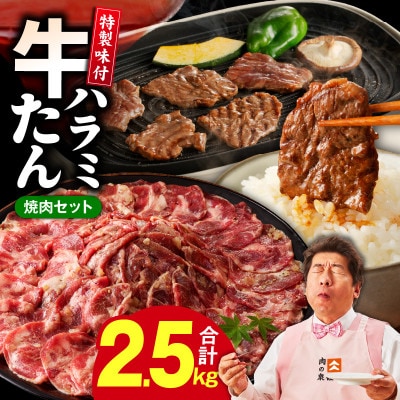 【総量 2.5kg】牛タン&牛ハラミ 大満足焼肉セット G1805