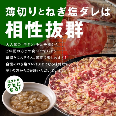【総量 2.5kg】牛タン&牛ハラミ 大満足焼肉セット G1805