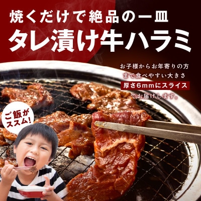 【総量 2.5kg】牛タン&牛ハラミ 大満足焼肉セット G1805