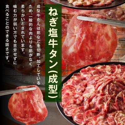 ねぎ塩 牛タン 食べ比べセット 合計 1kg 牛タン 500g/成型牛たん 500g 099H315