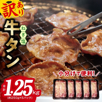 ねぎ塩 牛たん 1.25kg 小分け 250g×5P 成型肉 焼肉 010B1512