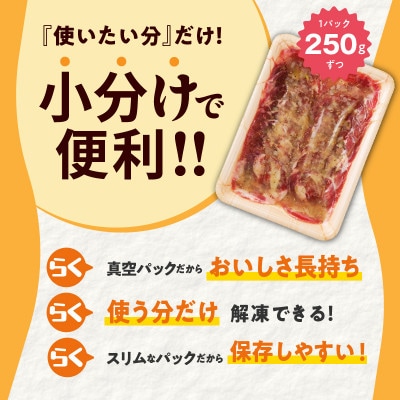 ねぎ塩 牛たん 1.25kg 小分け 250g×5P 成型肉 焼肉 010B1512