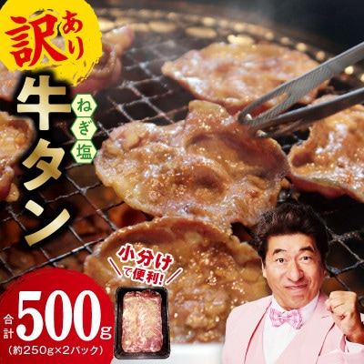 【お試し】ねぎ塩牛タン(成型)500g 小分け 250g×2P 005A680