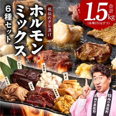 ホルモンミックス 6種 食べ比べセット 合計 1.5kg 秘伝のタレ漬け