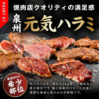 牛ハラミ肉 1kg(ハラミ 900g+牛すじ 100g)味付け 焼肉 015B642