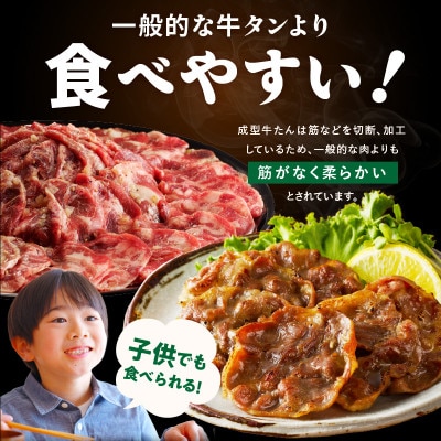 牛タン&牛ハラミ お試し 1kg 焼肉セット 訳あり サイズ不揃い G3180