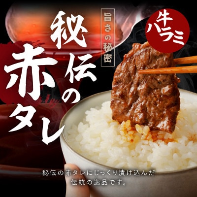 牛タン&牛ハラミ お試し 1kg 焼肉セット 訳あり サイズ不揃い G3180