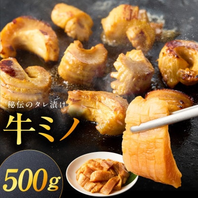 焼肉用 牛ミノ 500g  味付き 250g×2P 小分け ホルモン 010B1854