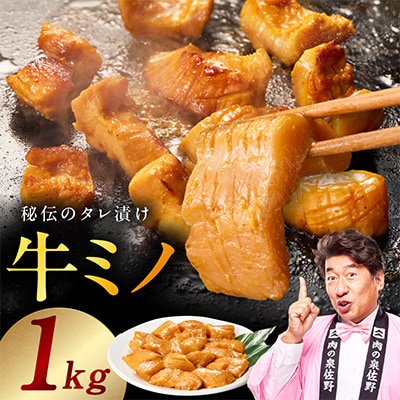 焼肉用 牛ミノ 1kg 味付き 250g×4P 小分け ホルモン