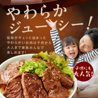 アキラ商店の「人気者!」集めちゃいましたセット 牛タン ハラミ ステーキ 099H4023