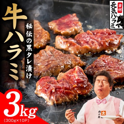 【新登場】極旨黒ダレ 牛ハラミ肉 3kg(300g×10P) 小分け 訳あり  規格外 TVで話題