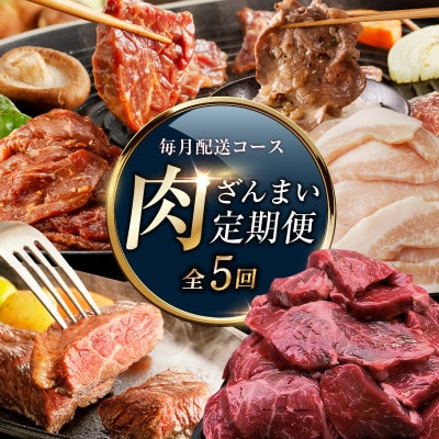 【毎月定期便】アキラ商店 肉三昧 わくわく 総量4.8kg以上 全5回 G1810