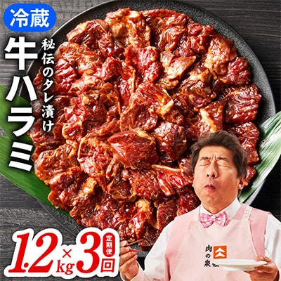 【毎月定期便】冷蔵配送 牛ハラミ肉 焼肉用 1.2kg(300g×4P)×全3回 099Z381