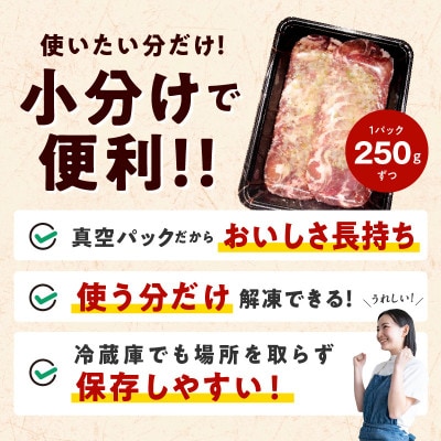 【毎月定期便】牛たん三昧  ねぎ塩  訳あり サイズ不揃い 1.5kg G3197 全3回