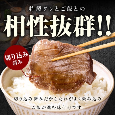 【毎月定期便】厚切り牛タン 秘伝の塩だれ 訳あり 小分け 099Z428 1.2kg×全2回