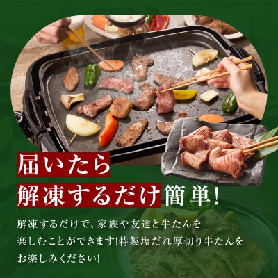 【毎月定期便】厚切り牛タン 秘伝の塩だれ 訳あり 小分け 099Z428 1.2kg×全2回