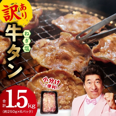 【毎月定期便】ねぎ塩 牛たん(成型) 小分け 薄切り 訳あり 099Z434 1.5kg×全2回