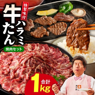 【毎月定期便】牛タン&牛ハラミ お試し  成型牛たん ハラミ 訳あり 099Z443 1kg×全2回