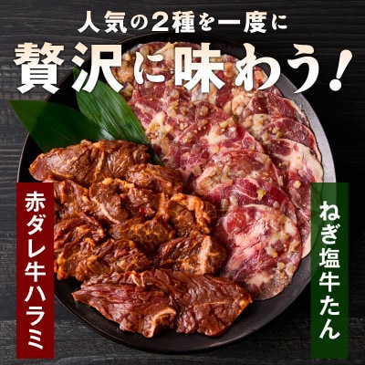 【毎月定期便】牛タン&牛ハラミ お試し  成型牛たん ハラミ 訳あり 099Z443 1kg×全2回