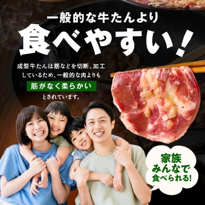 【毎月定期便】牛タン&牛ハラミ お試し  成型牛たん ハラミ 訳あり 099Z443 1kg×全2回