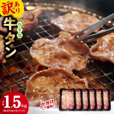 【毎月定期便】牛タン&牛ハラミ 焼肉セット 成型牛たん 訳あり 099Z446 2.5kg×全2回