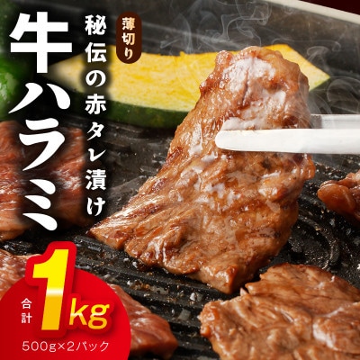 【毎月定期便】牛タン&牛ハラミ 焼肉セット 成型牛たん 訳あり 099Z446 2.5kg×全2回