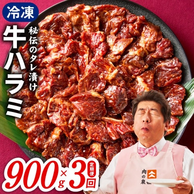 【毎月定期便】牛ハラミ肉 900g 小分け 秘伝の赤タレ 味付き 焼肉 訳あり 099Z522全3回