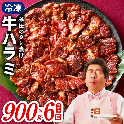 【毎月定期便】牛ハラミ肉 900g 小分け 秘伝の赤タレ 味付き 焼肉 訳あり 099Z523全6回