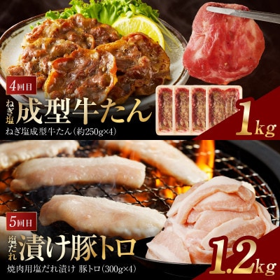 【毎月定期便】アキラ商店 肉三昧 わくわく 総量5kg以上全5回