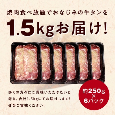 【3ヵ月毎定期便】ねぎ塩 牛たん(成型)合計1.5kg 薄切り 訳あり 分けて届く定期便全2回