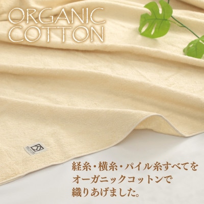 オーガニックコットン タオルケット 140×200cm 泉州こだわりタオル認定商品 030D001