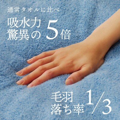 高級タオルケット nei ラージサイズ(ブルー) 099H3229