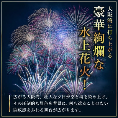 先行予約 大阪芸術花火2025 観覧チケット 大人1席分 099H3683