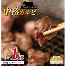 【9月30日受付終了】ブラックアンガス中落カルビ 1kg(500g×2) 熟成肉 099H934 | ふるさと納税のお礼品