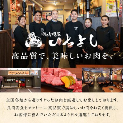 焼肉問屋いちよし 極旨和牛カレー 180g×4個 G1365