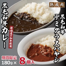 【期間限定】和牛カレー 180g&times;4個 &amp; 和牛デミグラスハヤシ 180g&times;4個 099H2077