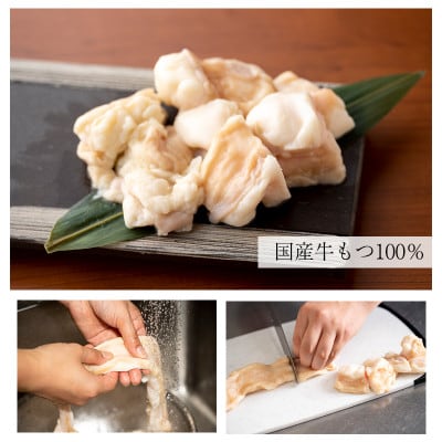 国産牛もつ100%「まろやか京風みそ」もつ鍋セット 800g (5-6人前)099H759