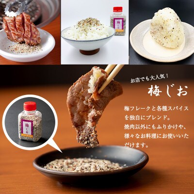 やわらか熟成牛タンスライス600g オリジナル梅塩セット　099H597