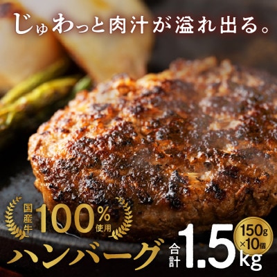 熟成国産牛100% ハンバーグ 1.5kg(150g×10個)ファミリー向け 010B1197