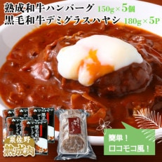 熟成和牛ハンバーグと黒毛和牛デミグラスハヤシのセット 010B735