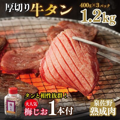 厚切り 牛たん 1.2kg(400g×3)訳あり サイズ不揃い 099H1879