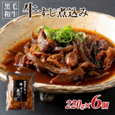 焼肉屋が作る 国産 甘辛 牛すじ煮込み(220g&times;6個) 010B1299