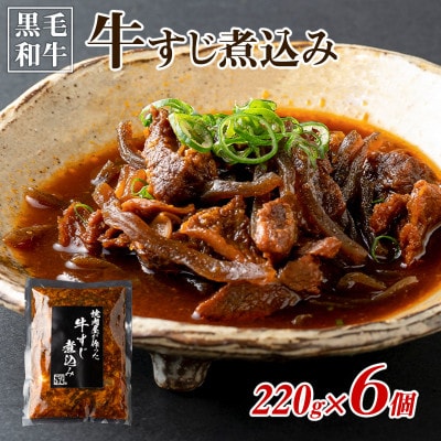 焼肉屋が作る 国産 甘辛 牛すじ煮込み(220g×6個) 099H3557