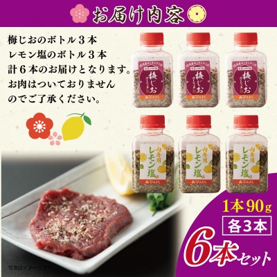 焼き肉専門店の梅じお&レモン塩 各90g×3本 合計6本 食べ比べセット 010B1308